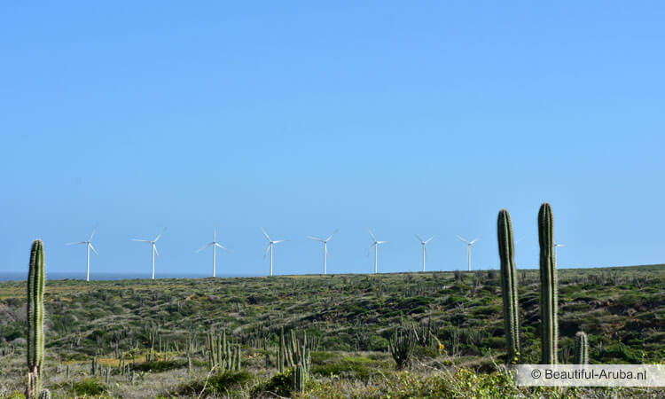 Windmolens op Aruba