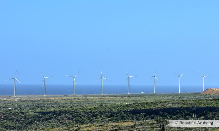 Windmolenpark Vader Piet Aruba