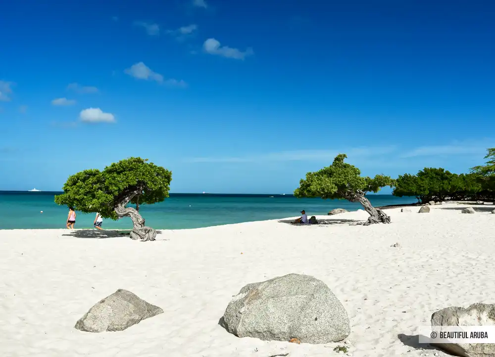 Eagle Beach Aruba