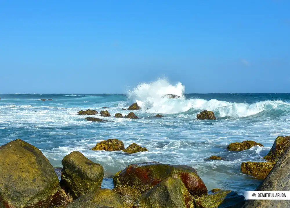 Ruige zee Aruba