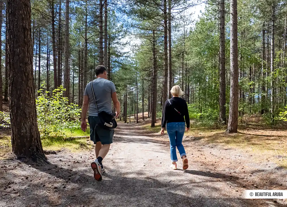 Wandelen in de Schoorlse Duinen.